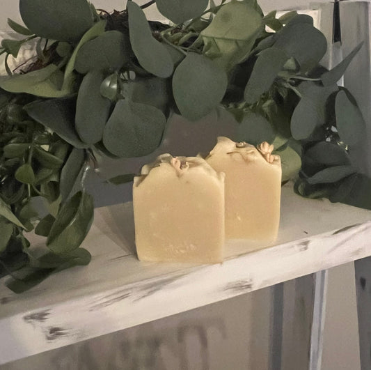 Aloe & Coconut Artisan Soap