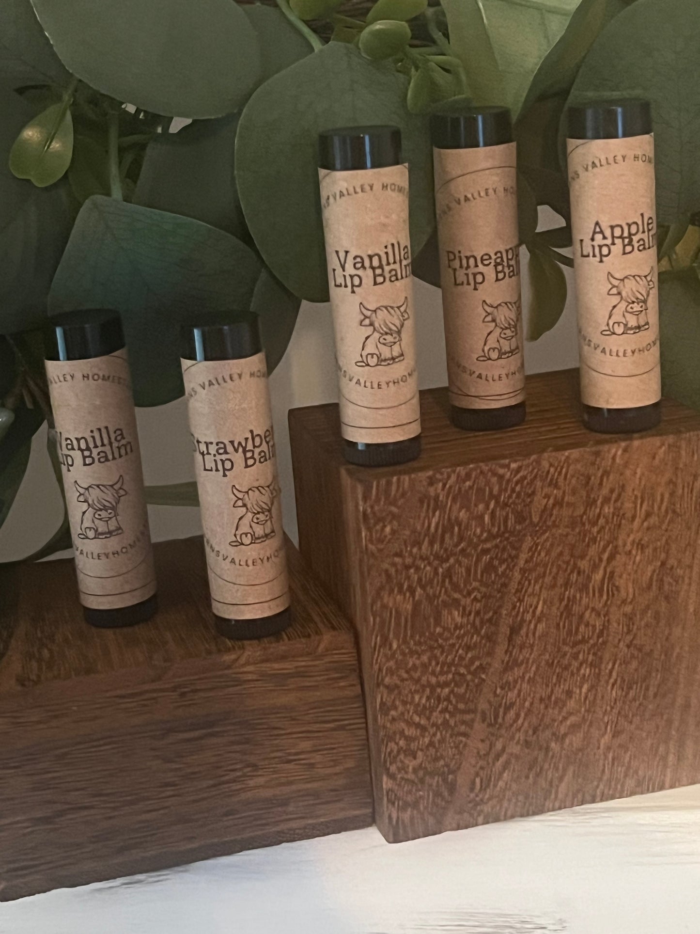 Tallow Lip Balm